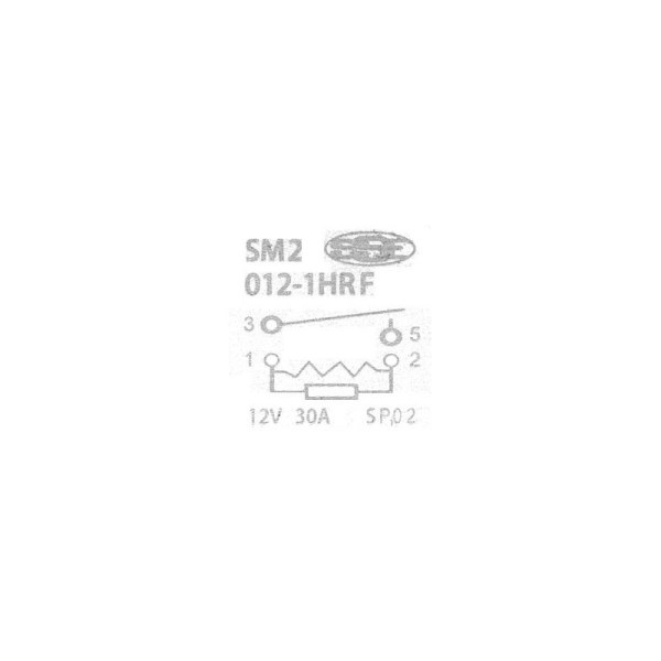 rele-spinaci-12v-30a-male (3)